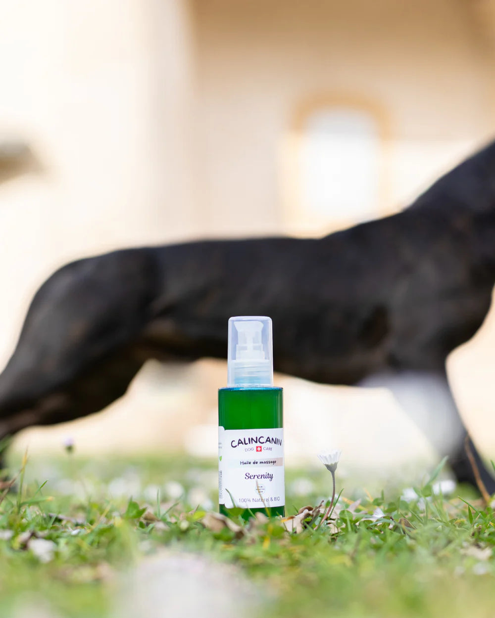 Huile serenity - anti inflamatoire