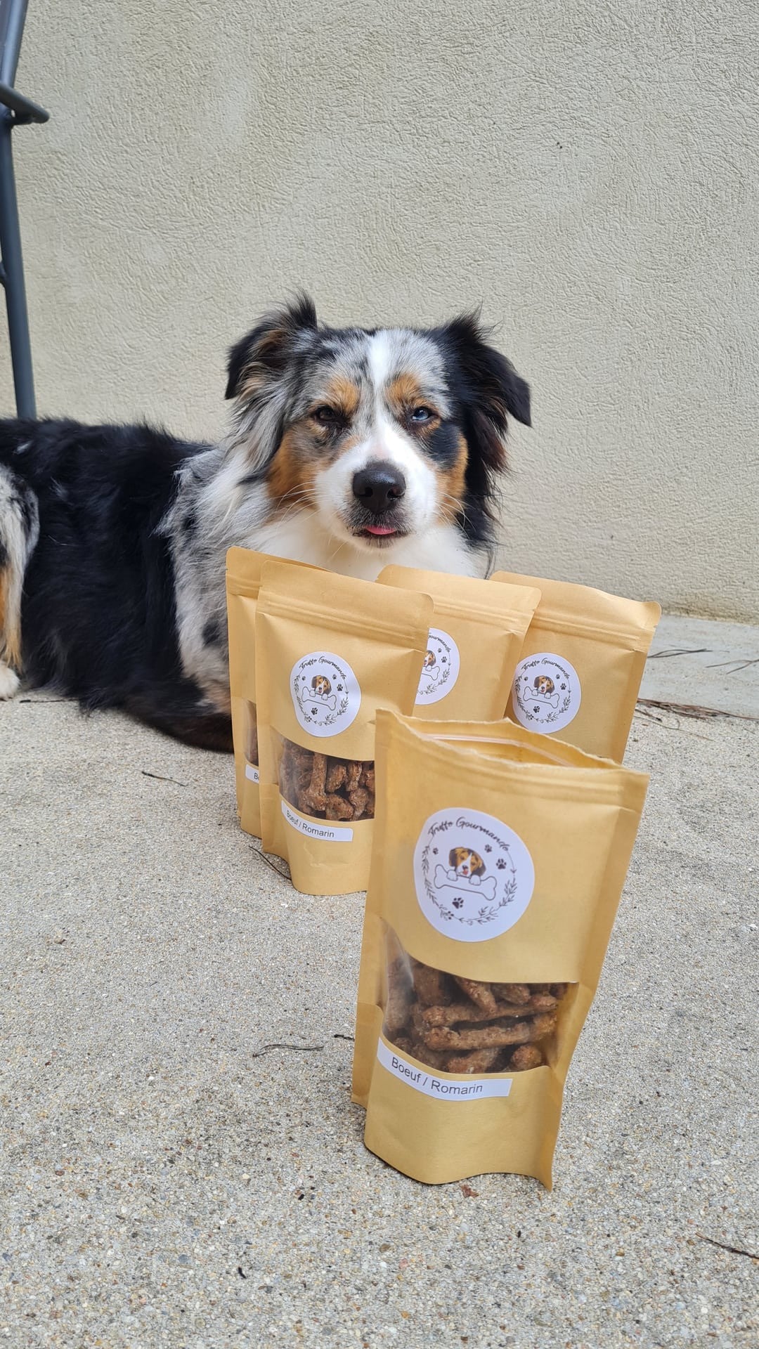 Biscuits Chien - Boeuf / Romarin