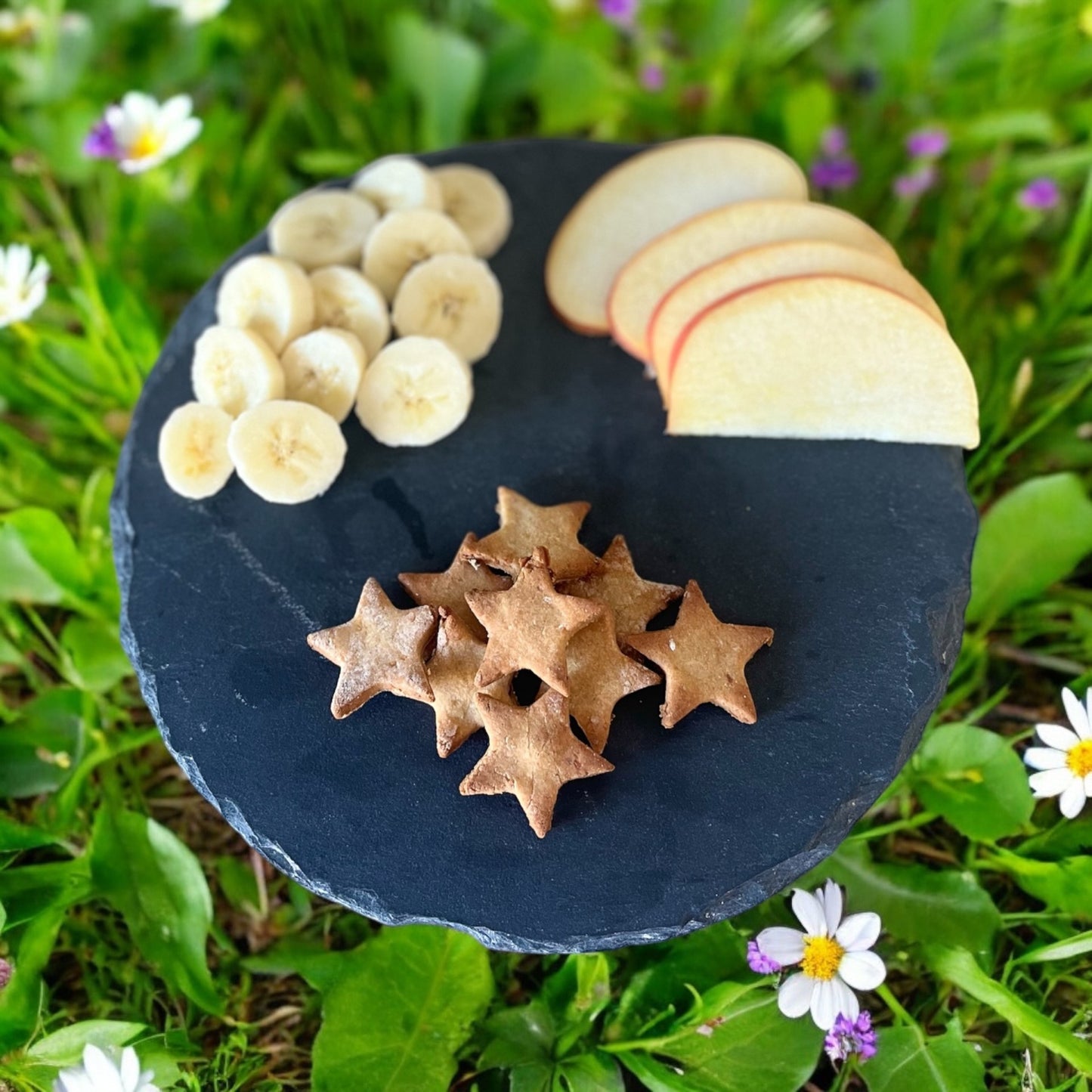 Coffret Découverte - pour chien -