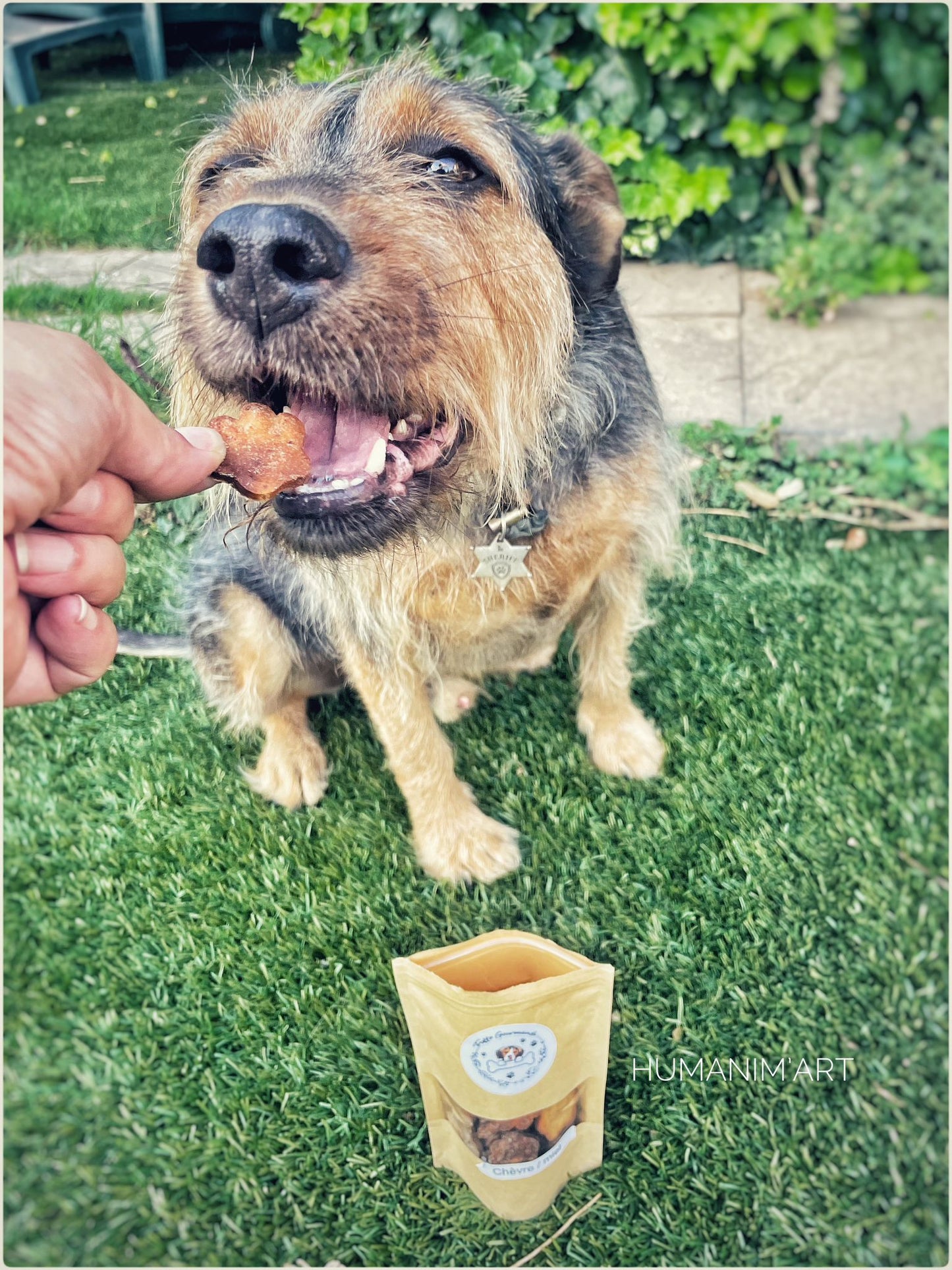 Biscuits Chien - Chèvre / Miel