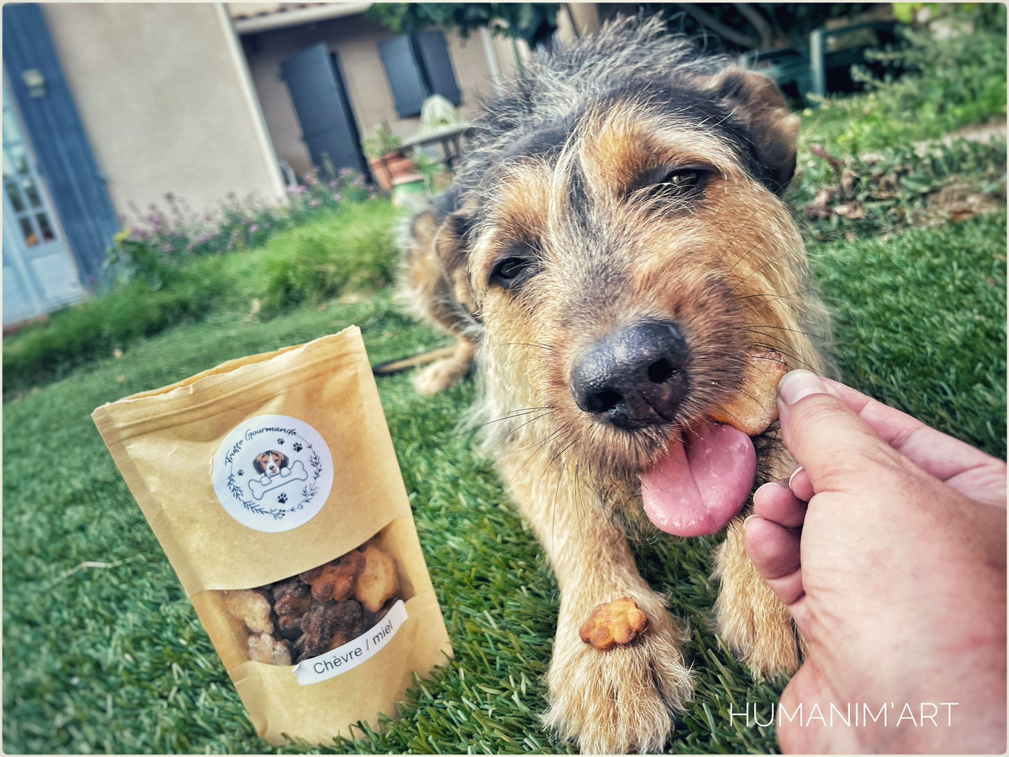 Biscuits Chien - Chèvre / Miel