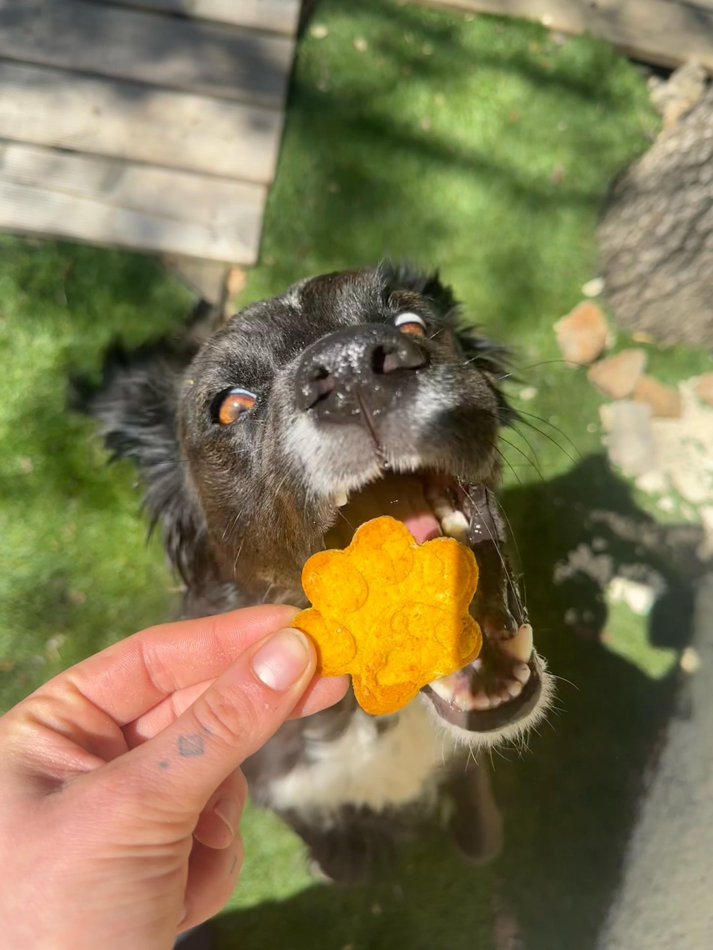 Friandise à personnaliser