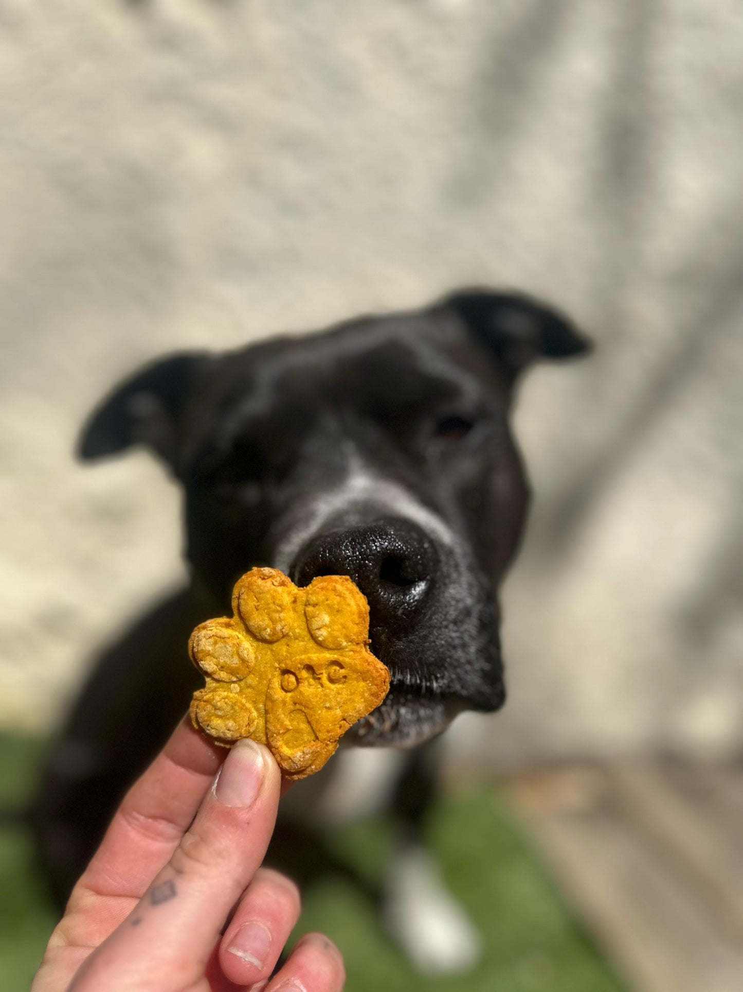 Friandise à personnaliser