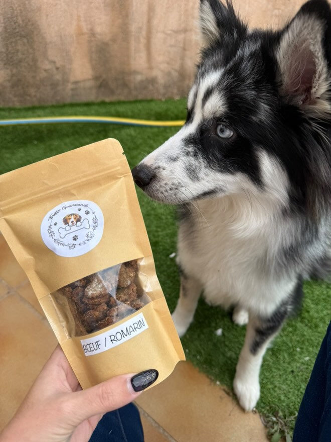 Biscuits Chien - Boeuf / Romarin