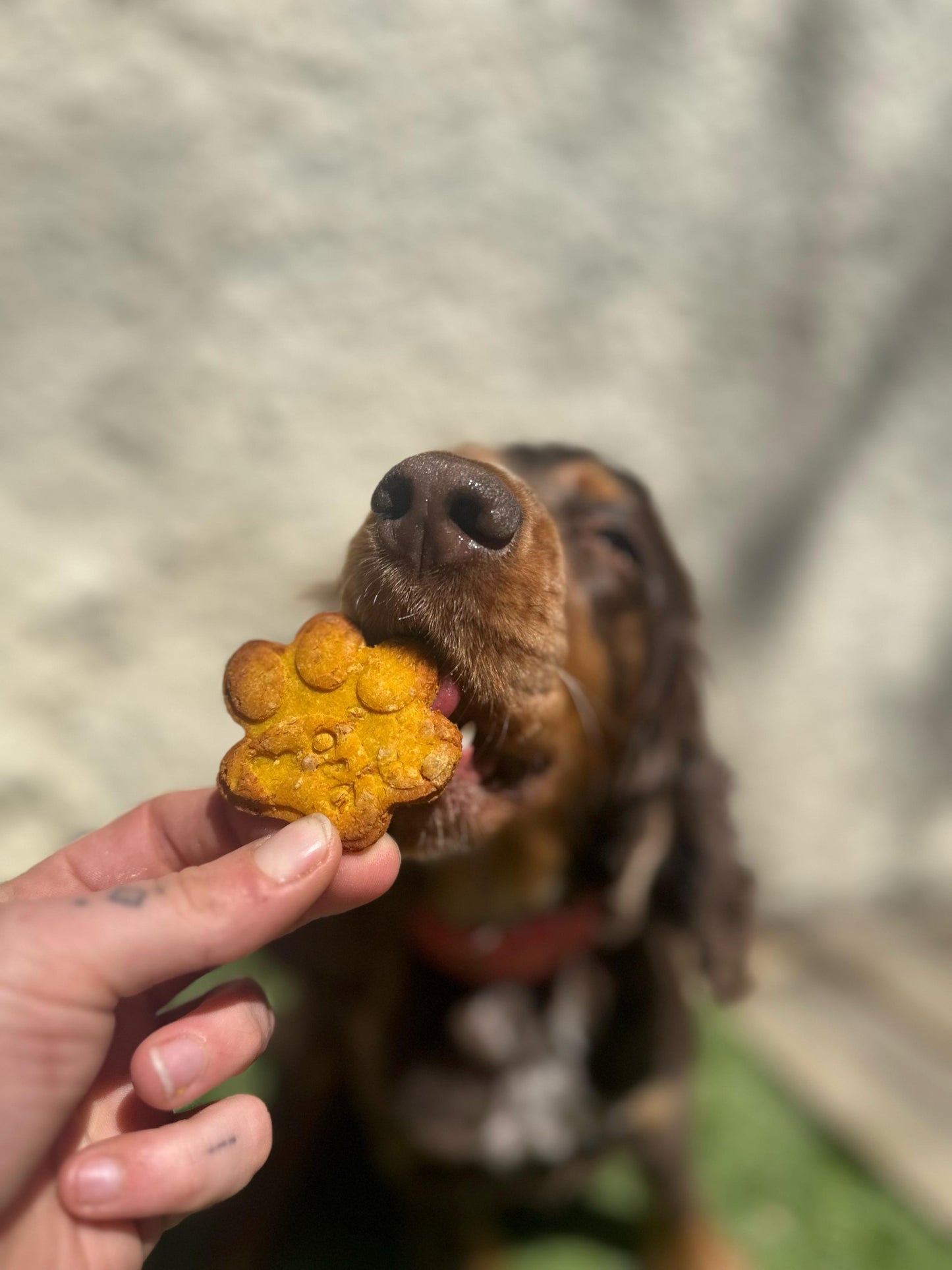 Friandise à personnaliser