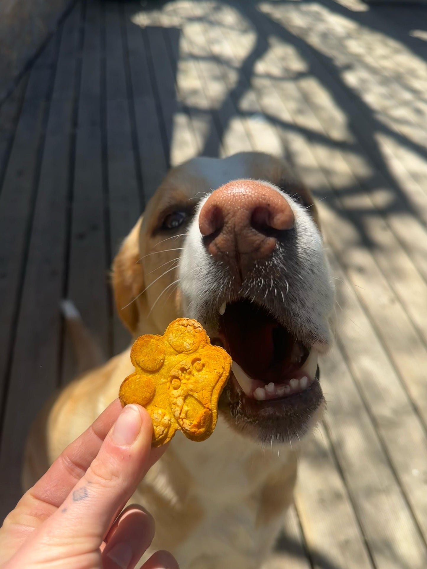 Friandise à personnaliser