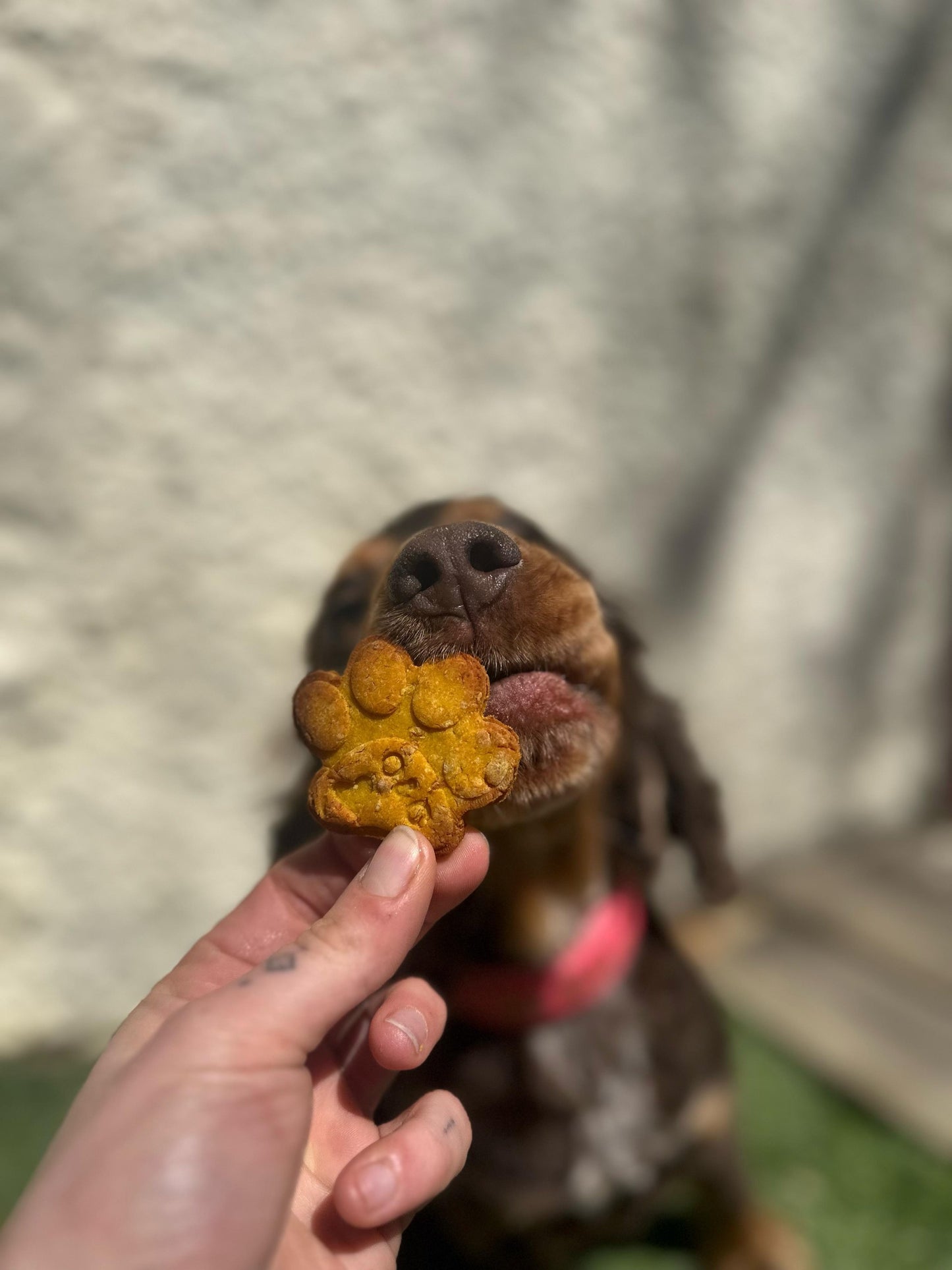 Friandise à personnaliser