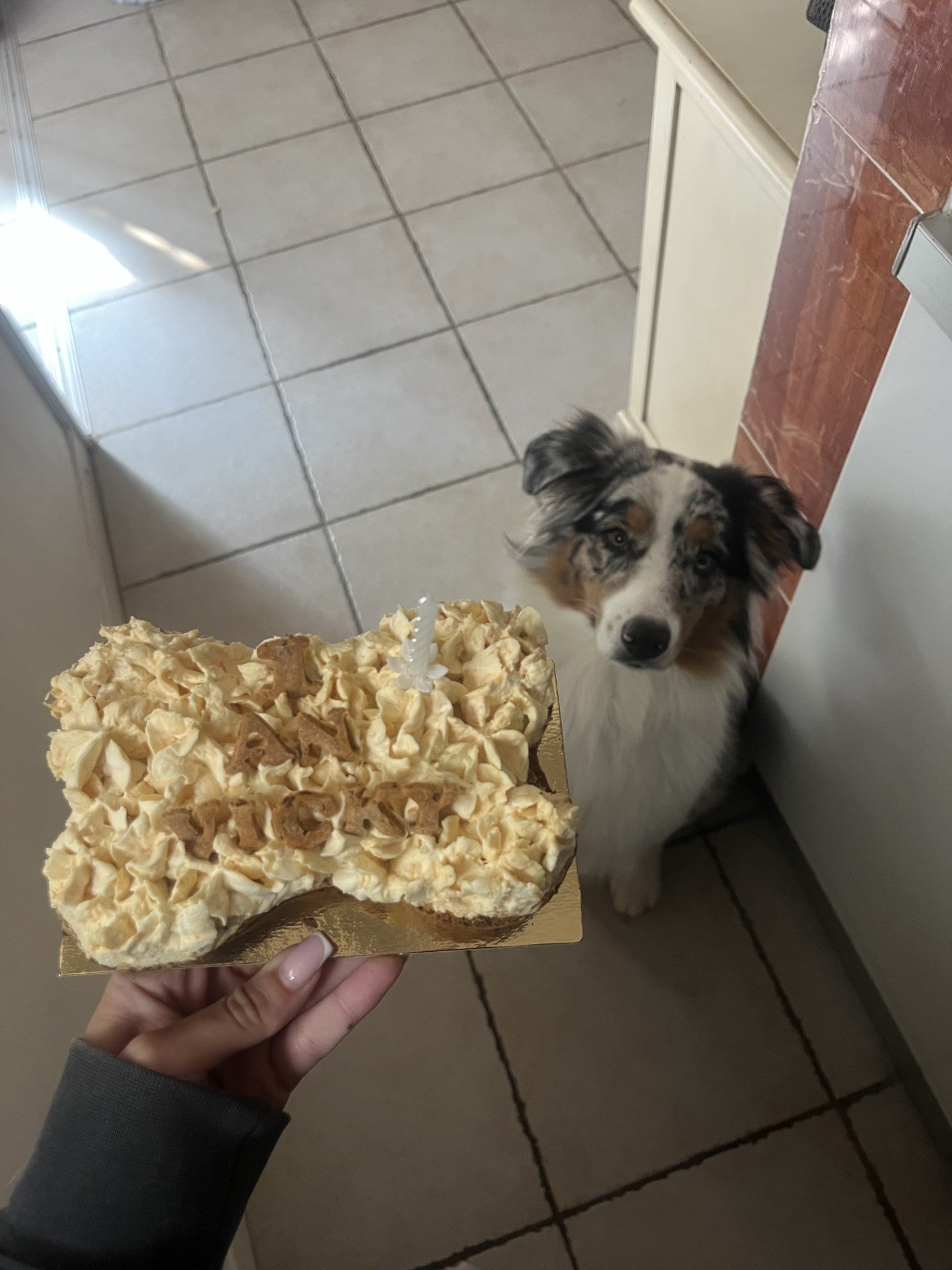 Gâteau d'anniversaire