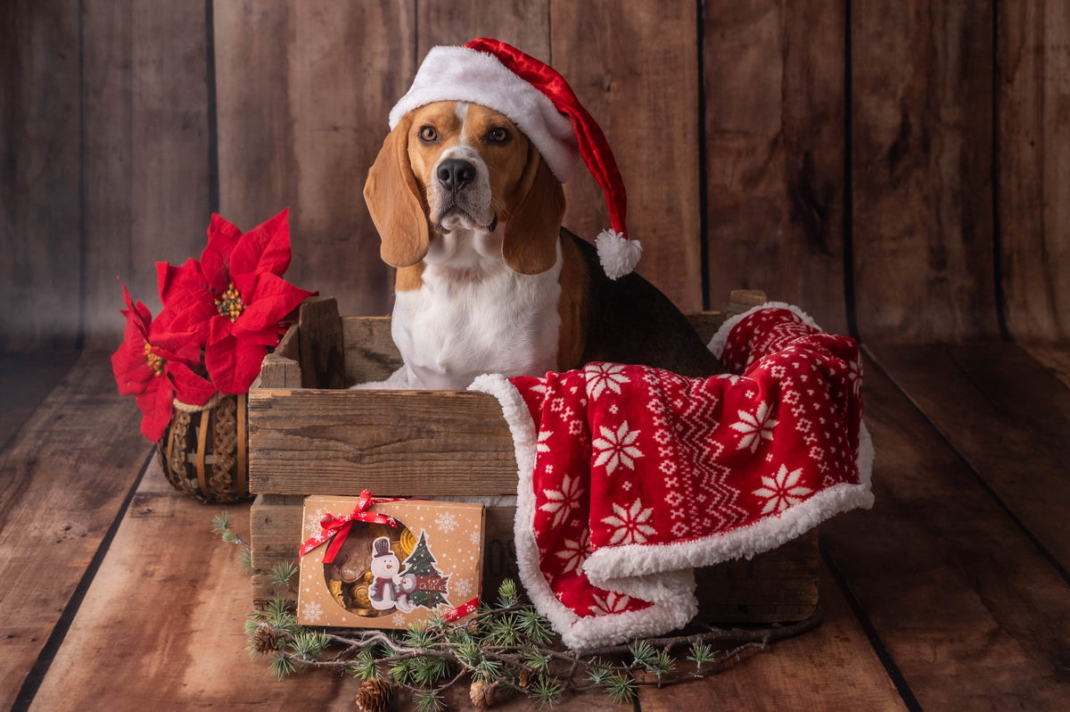 Noël