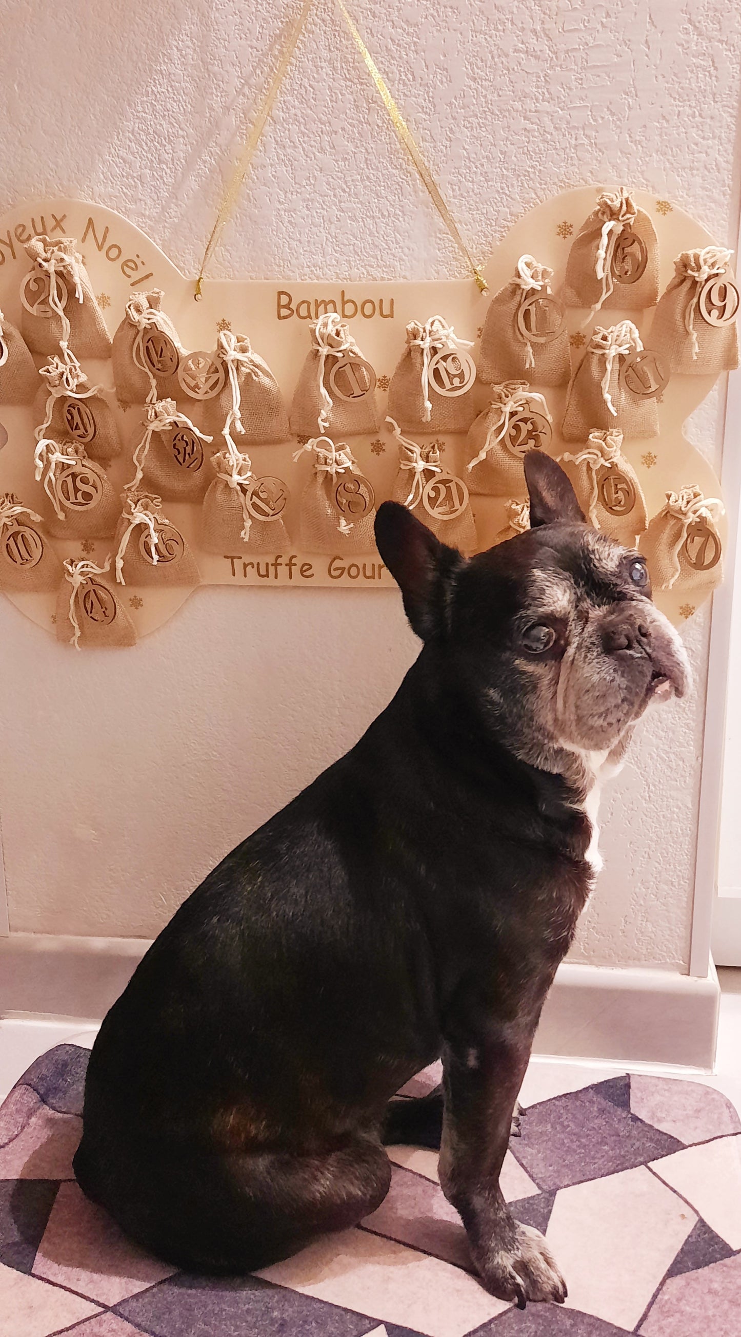 Calendrier de l'avent (pour chien)