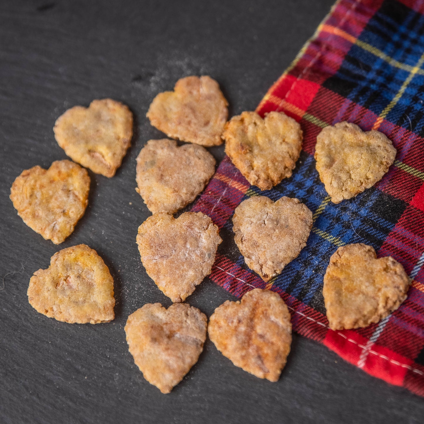 Biscuits Chien - Carotte / Avoine ( recette printemps/été )