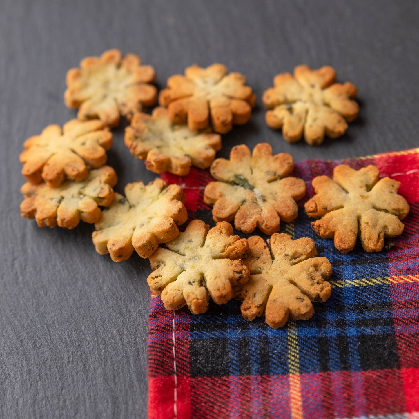 Biscuits Chien - Courgette / Persil