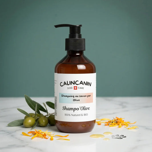 shampoing Olive