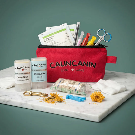 Trousse de secours