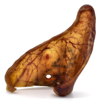 Oreille de Porc XL