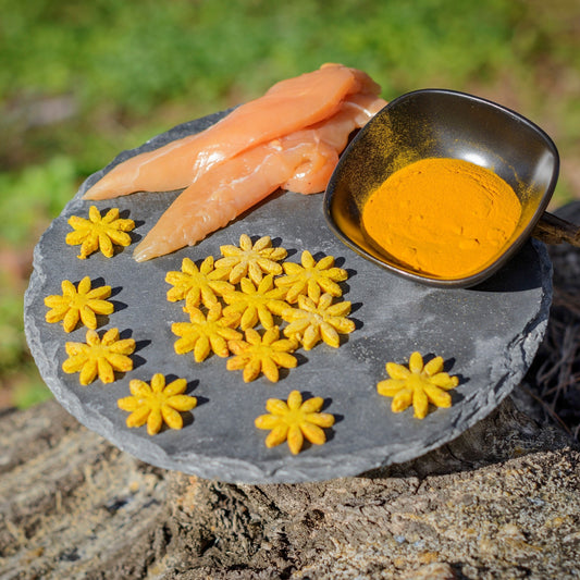 Biscuits Chien - Poulet / Curcuma